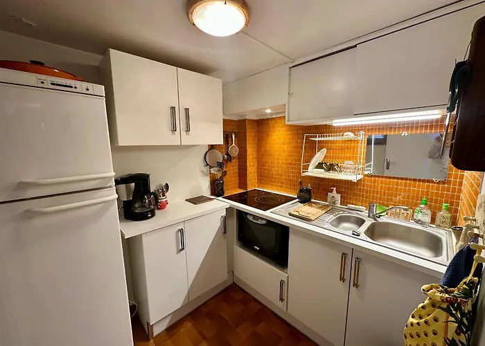 아파트 Appartement T4 Duplex 60M², 6 Pers, Vue Lac & Montagnes - Fr-1-758-40